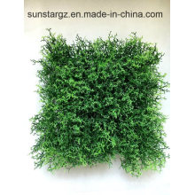 PE Moss Artificial Turf Wall Panel for Home Decoration with SGS Certificate (50436)